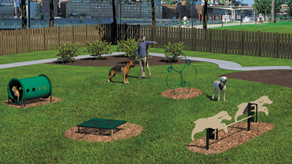 Dog Park 3