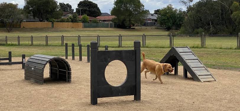 Dog Park 4